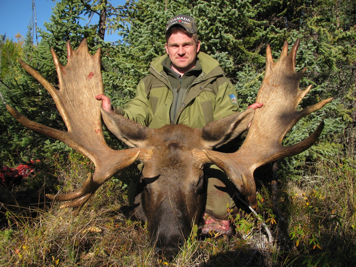 Guided Moose Hunts